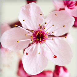 Joomla spring cleaning