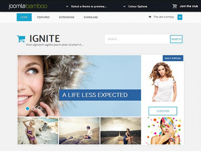 Joomla business templates, November 2013